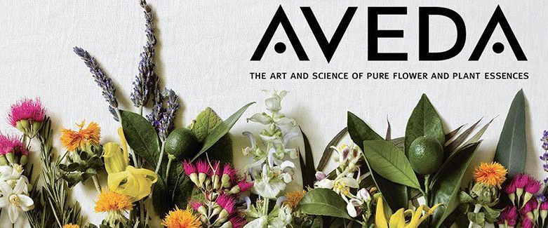 Aveda botanical brand design featuring natural elements